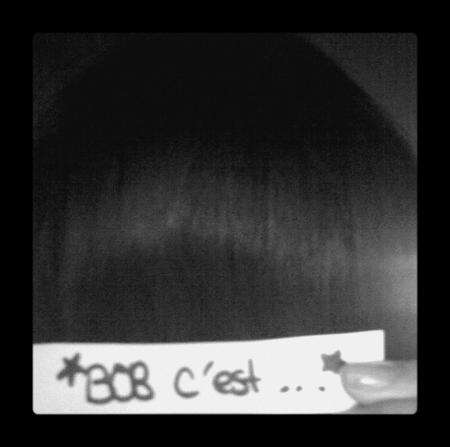 Bob c'est...